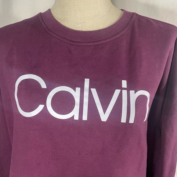 Calvin Klein Women's Relaxed Fit Logo Drop Shoulder Fleece Pullover Large - Picture 4 of 6